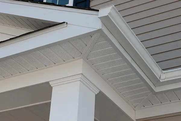 Downspout, Soffit, and Fascia
