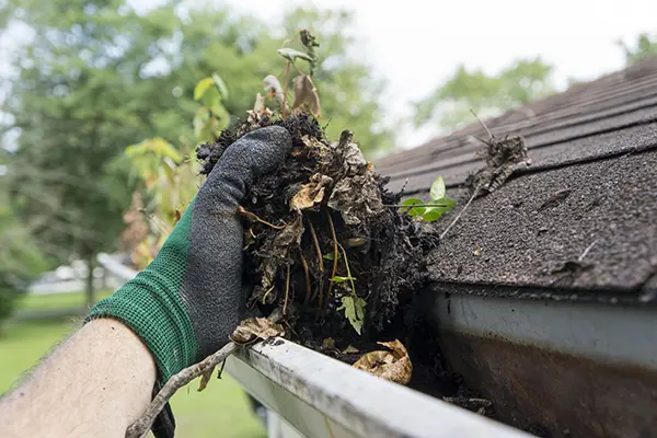 Gutter Cleaning and Maintenance at Trulson Exteriors in Central Minnesota
